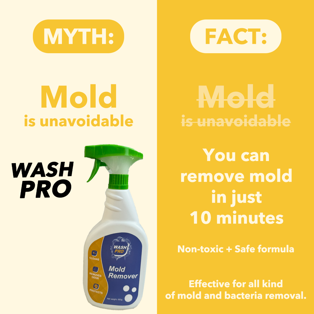 واش برو™ مُزيل العفن القوي