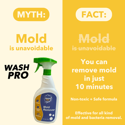 واش برو™ مُزيل العفن القوي